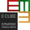 E-CUBE Strategy Consultants Swiss
